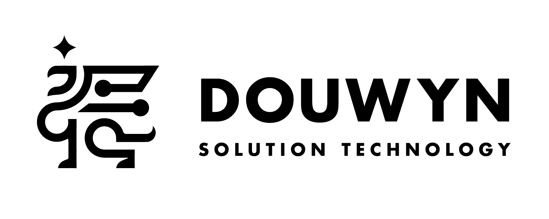DOUWYN SOLUTION TECHNOLOGY CO., LTD